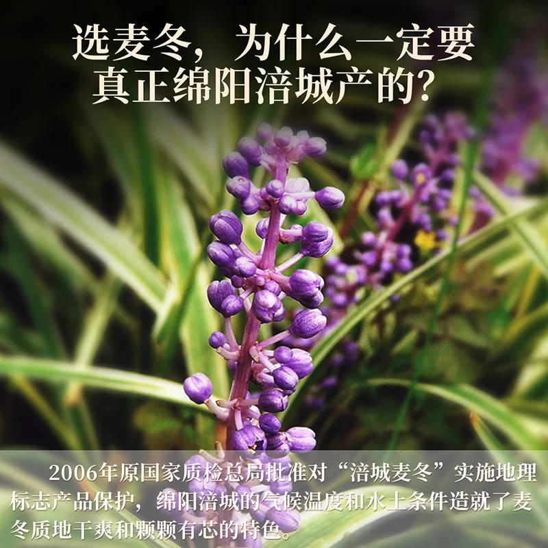 ������ �Ĵ��d�(y��ng)���T�� �o(w��)����b���x��l��о